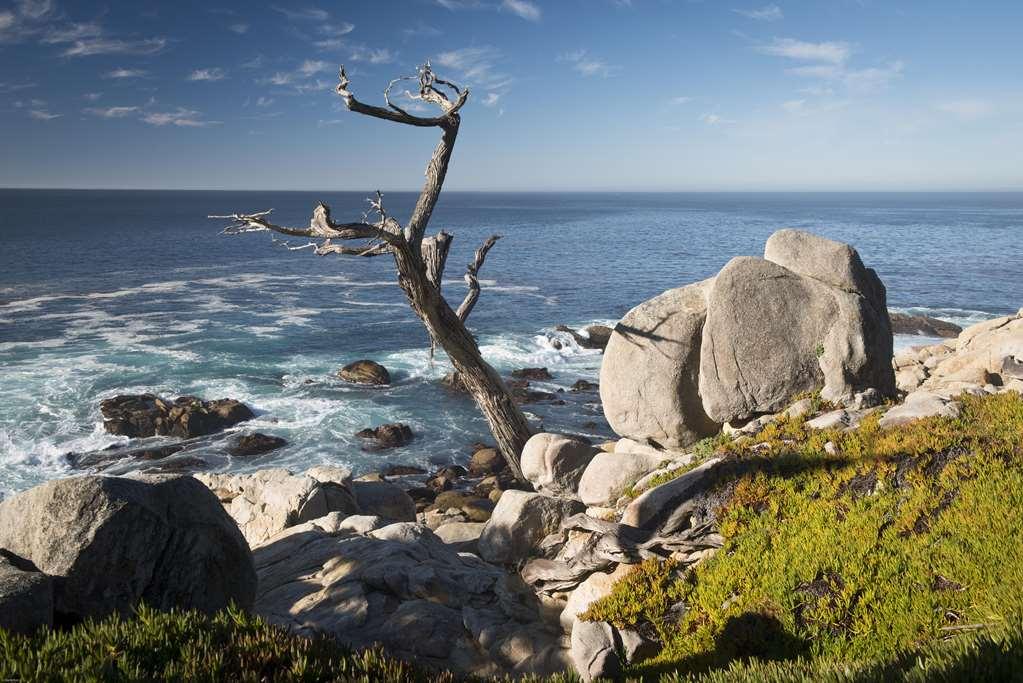 Inn At Spanish Bay Pebble Beach Exteriör bild